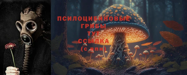 хмурый Шарыпово