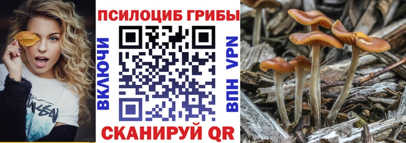 Псилоцибиновые грибы MAGIC MUSHROOMS  OMG ССЫЛКА  Ноябрьск 