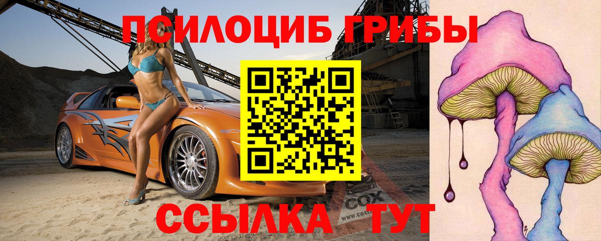 Псилоцибиновые грибы Cubensis Ноябрьск