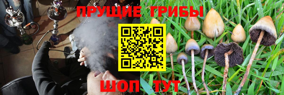 купить закладку  Галлюциногенные грибы MAGIC MUSHROOMS  Ноябрьск  Вход с VPN  Галлюциногенные грибы Psilocybine cubensis 